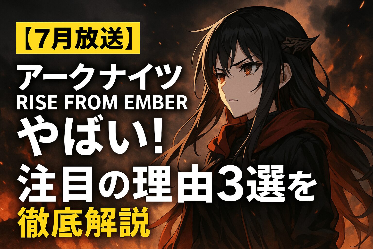 注目の理由3選