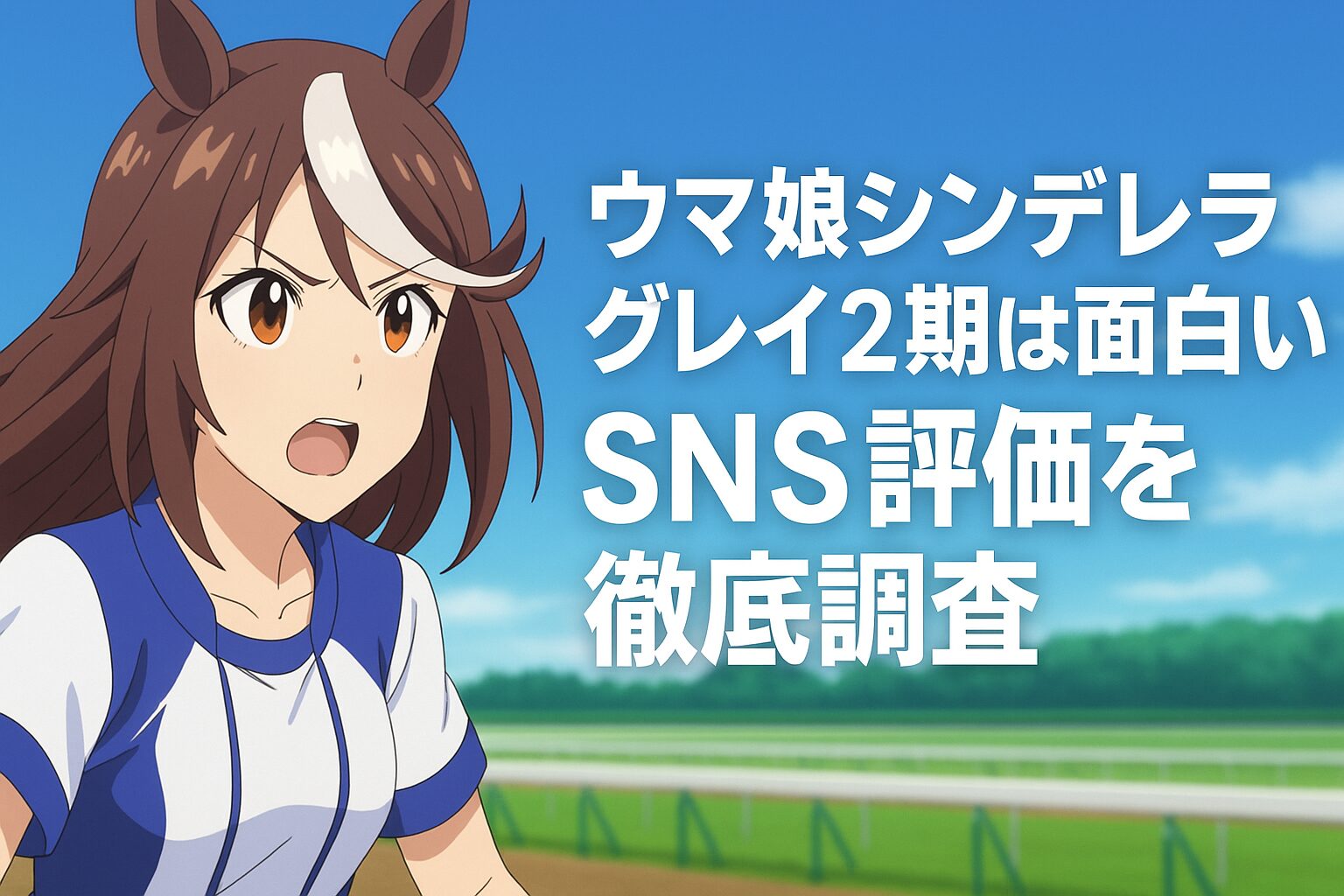 SNS評価を徹底調査