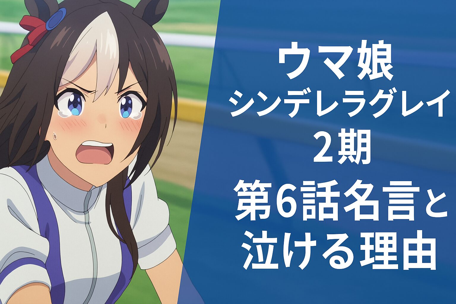 第6話名言と泣ける理由